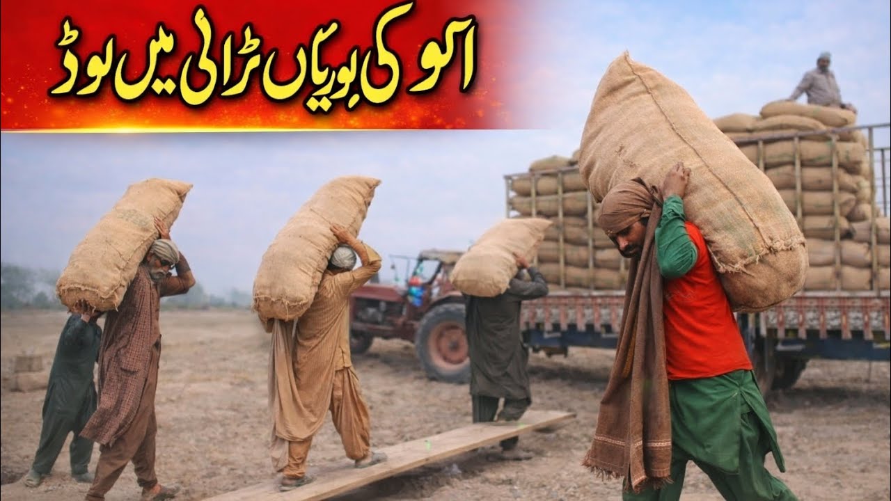 Hasnain Daily vlogs || bori load trala || palledar vlog village vlogs