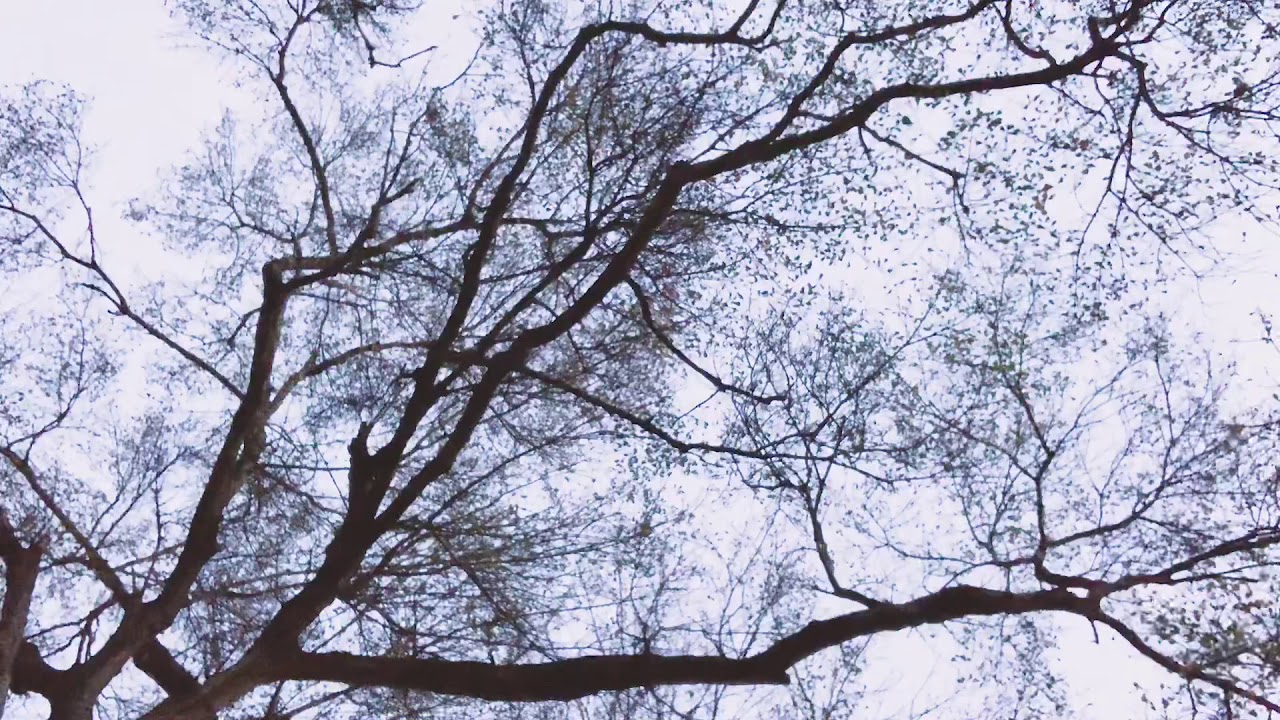 #TODAY | Pushing the kiddos on their Tarzan Tire Spider Web Swing. | WITH JO