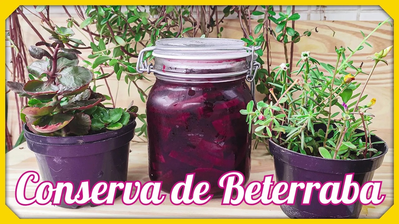 🥫💜 CONSERVA DE BETERRABA CASEIRA | Receita F&aacute;cil, Simples e Super Saborosa! 😋✨