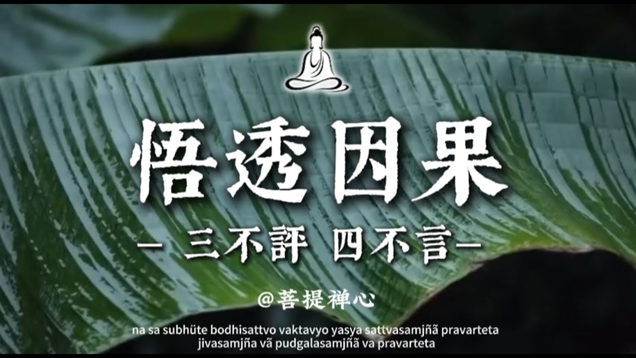 悟透因果，智者沉默，心自安渡🍃