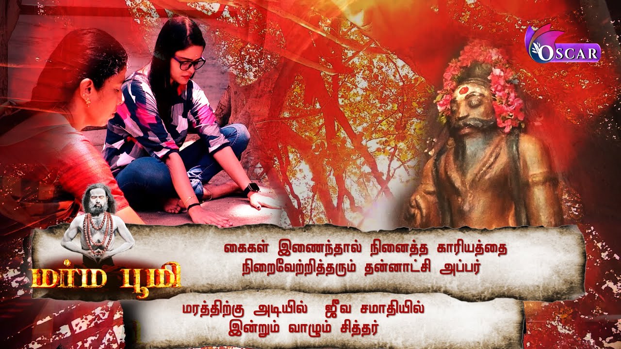 ஆயிரம் ஆண்டுகளை கடந்து கம்பீரமாய் நிற்கும் ஆலமரமும் காராட்சிமரமும், இன்றும் சித்தர் வாழும் அதிசயம்