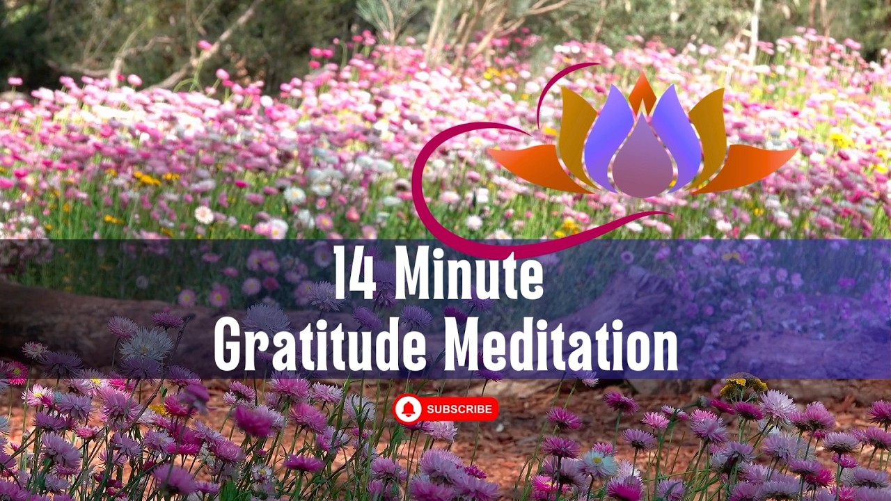 14-min Peaceful Gratitude Meditation / Perfect for a Stressful Day #stressrelief #mindfulness