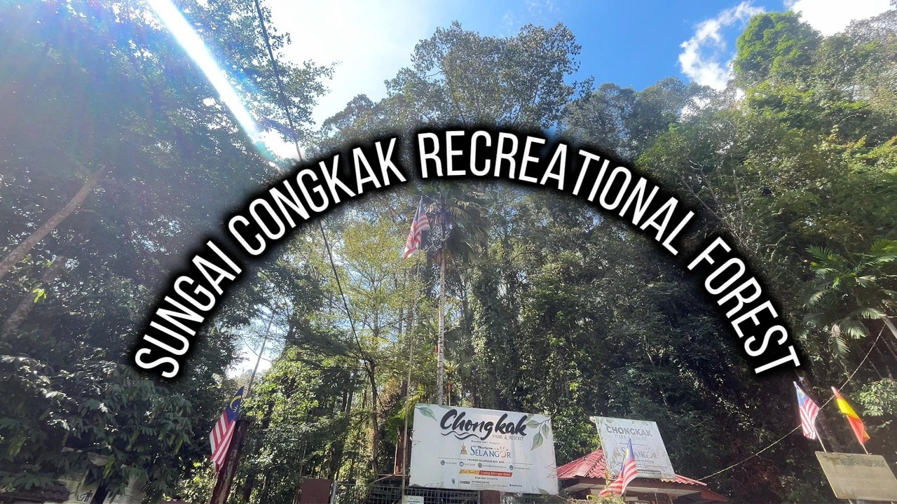[ASMR] SUNGAI CONGKAK RECREATIONAL FOREST @Hulu Langat