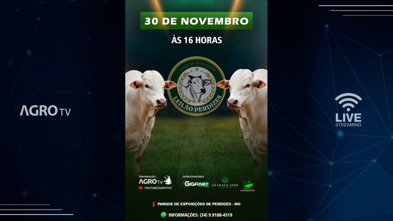 LEIL&Atilde;O PERDIZES - 30/11/2025