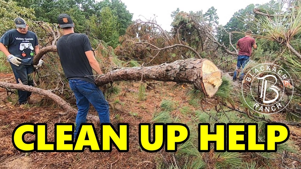 Ep. 359 - Almost Overwhelming! Logging Debris and Broken Tractor