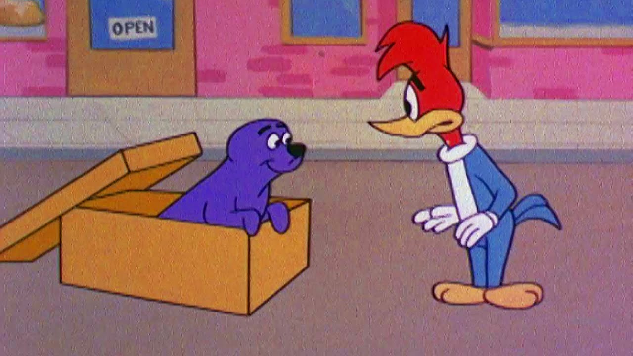 Woody Makes a New Friend | Woody Woodpecker