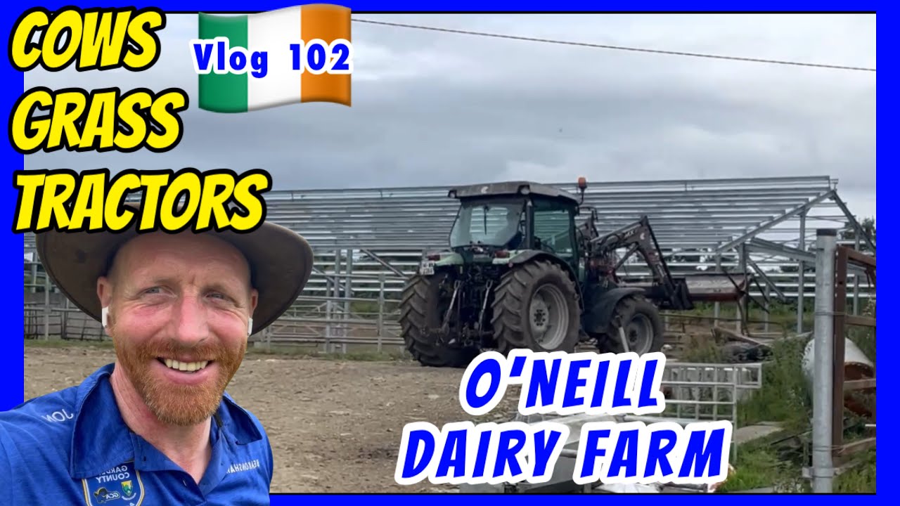 Grass, Cows & a Wonky Tractor!
