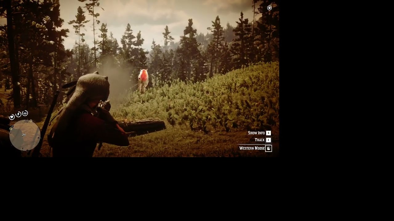 RDR2 Secret Hunting part 2 1-31-2026