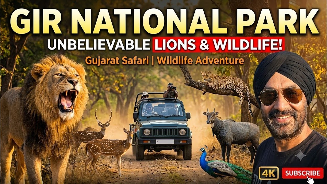 Gir National Park & Wildlife Sanctuary: Lions, Leopards & Wild Gujarat Jungle Safari 