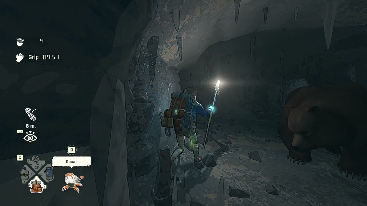 Bear encounter in Cairn