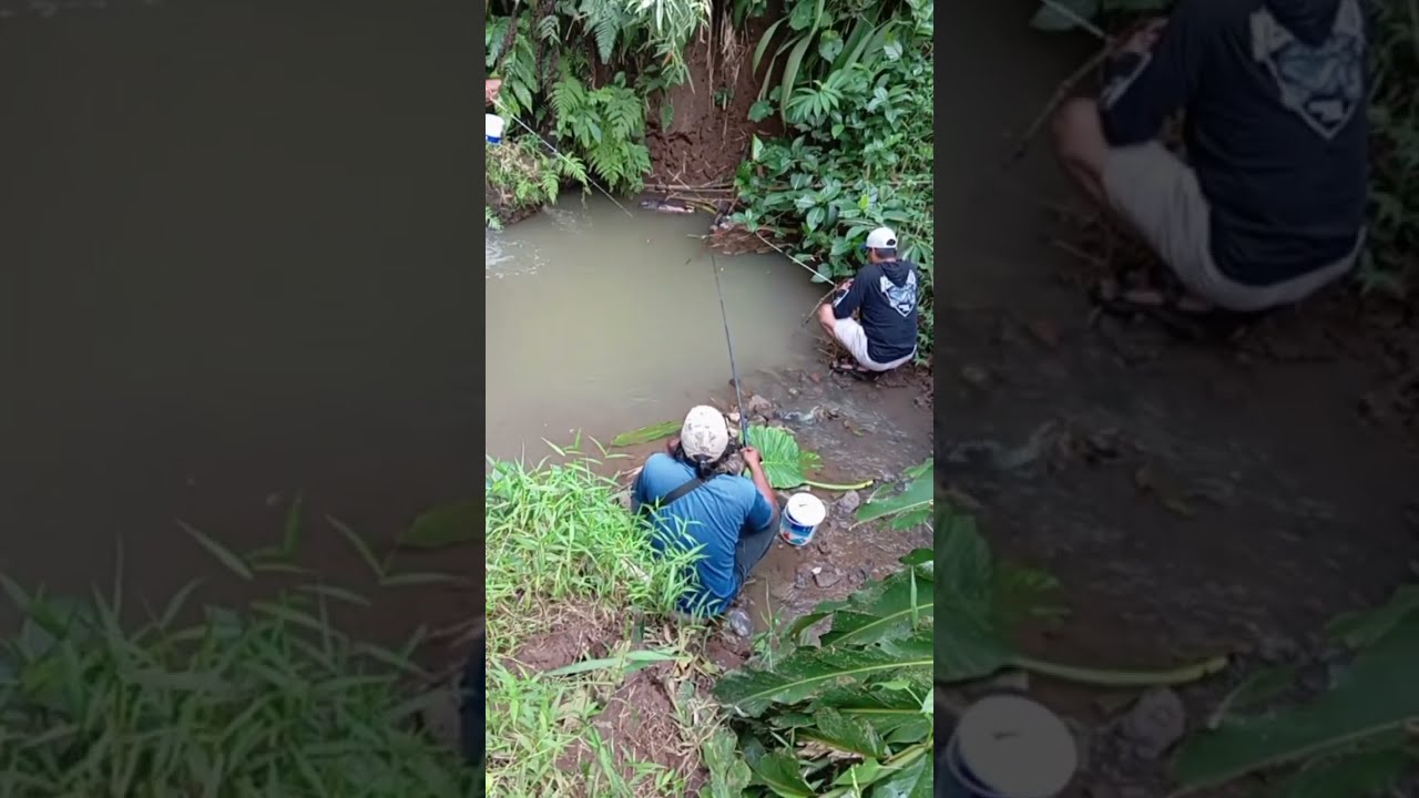 mancing di selokan pembuangan kolam