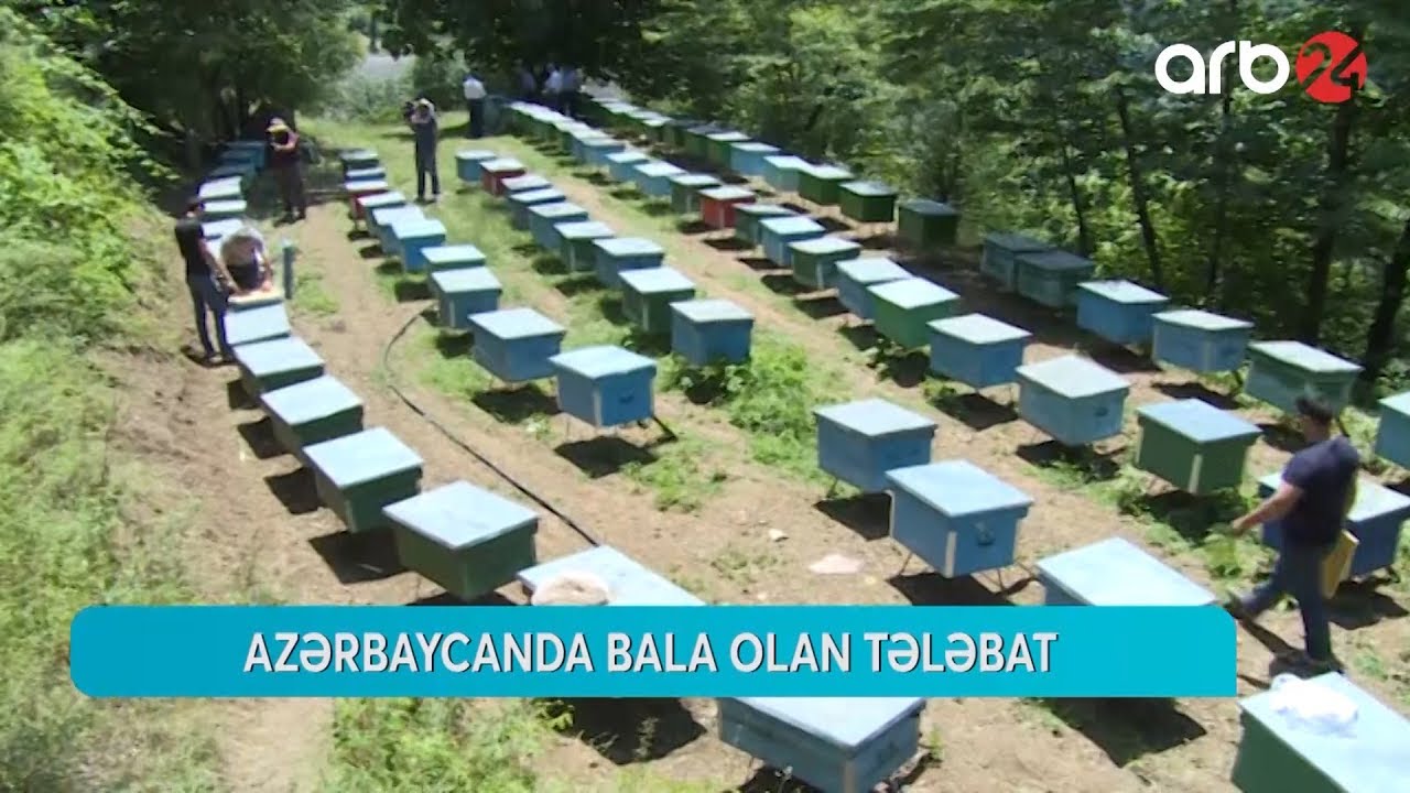 Azərbaycanda bala olan təlabat - ARB 24 (Aqro biznes) - 16.04.2019