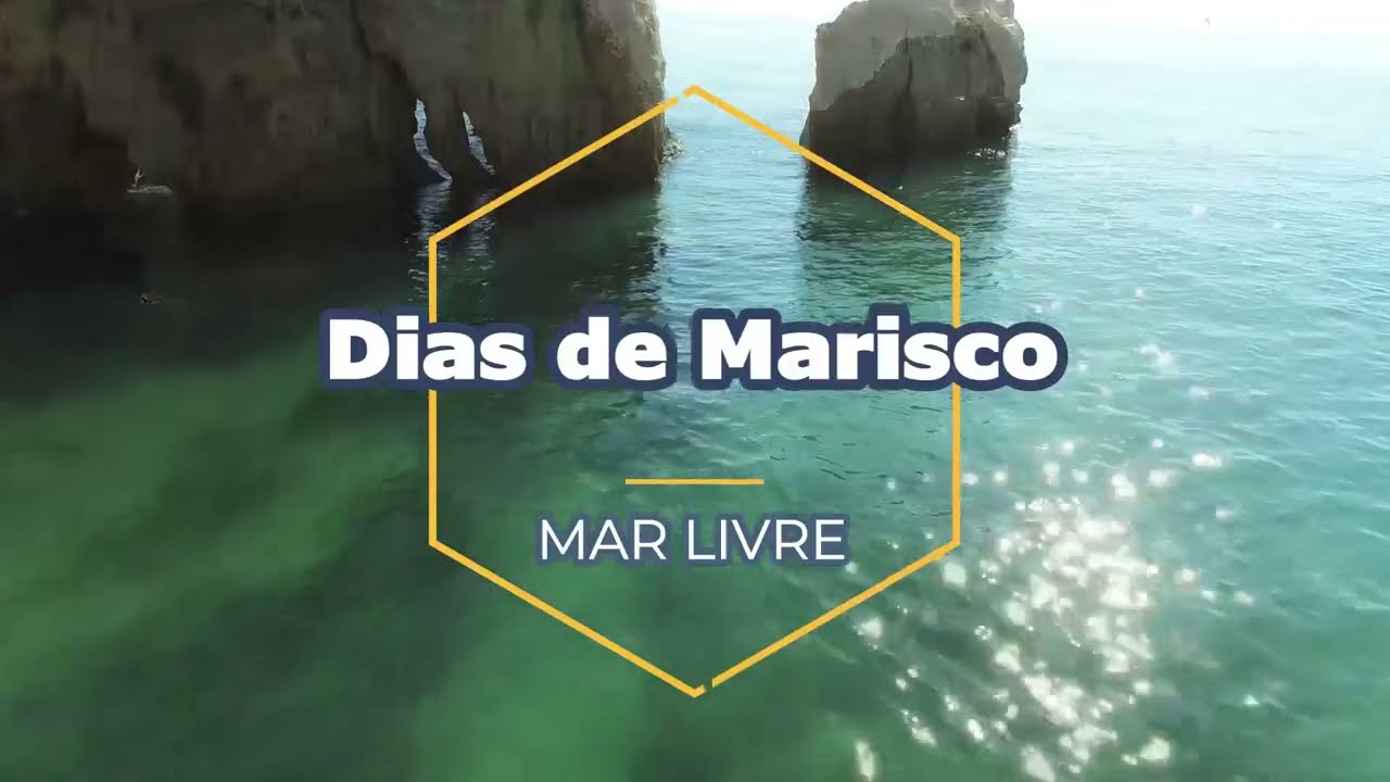 Caça Sub Portugal 2021 - ESPECIAL MARISCO           #marlivre #spearfishing #seafood #pescasubmarina