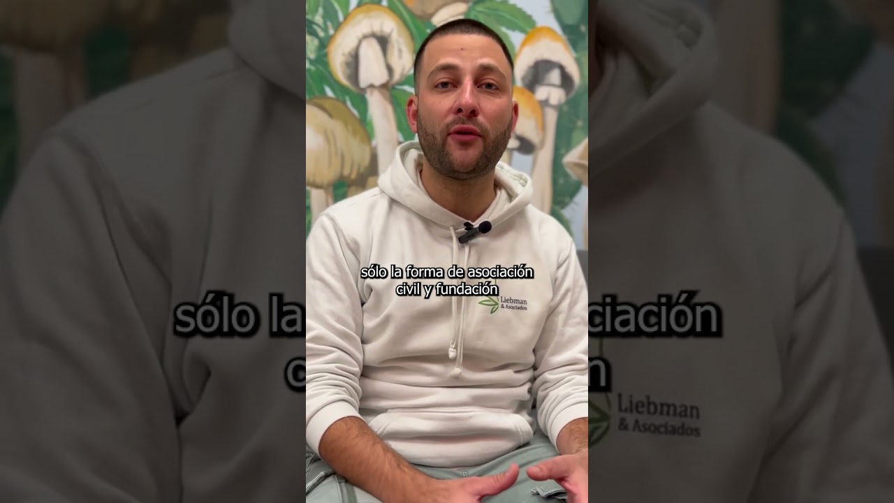 REPROCANN en ARGENTINA: el gobierno de MILEI y los NUEVOS REQUISITOS #shorts