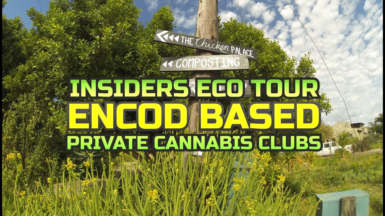 ENCOD Based Private Cannabis Clubs in South Africa