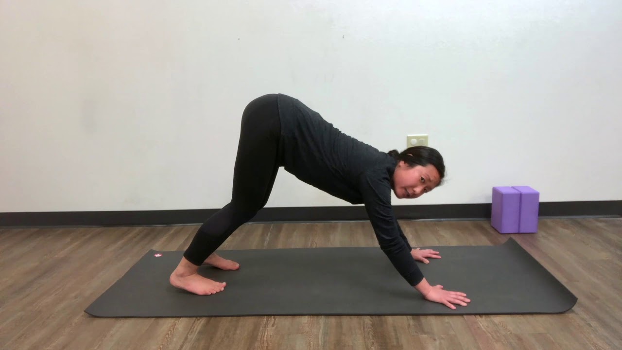 PT In Motion   Yoga   6 Downward Facing Dog  Adho Mukha Svanasana