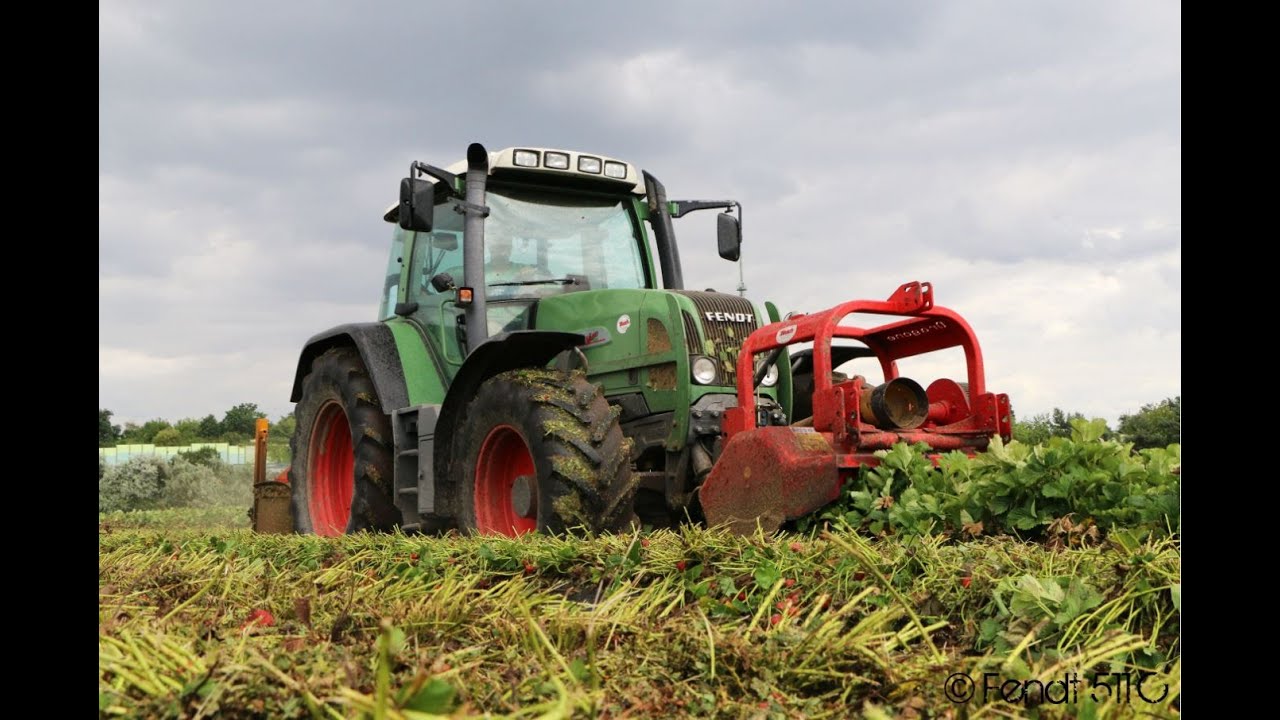 Fendt 712 Vario in der Sonderkultur - Erdbeerdämme mulchen
