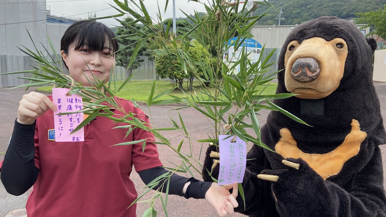 ツヨシのゴー！GO！動物園　vol 198　アナグマ編