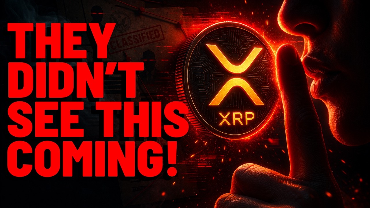 XRP: Самая важная новость за весь год?!