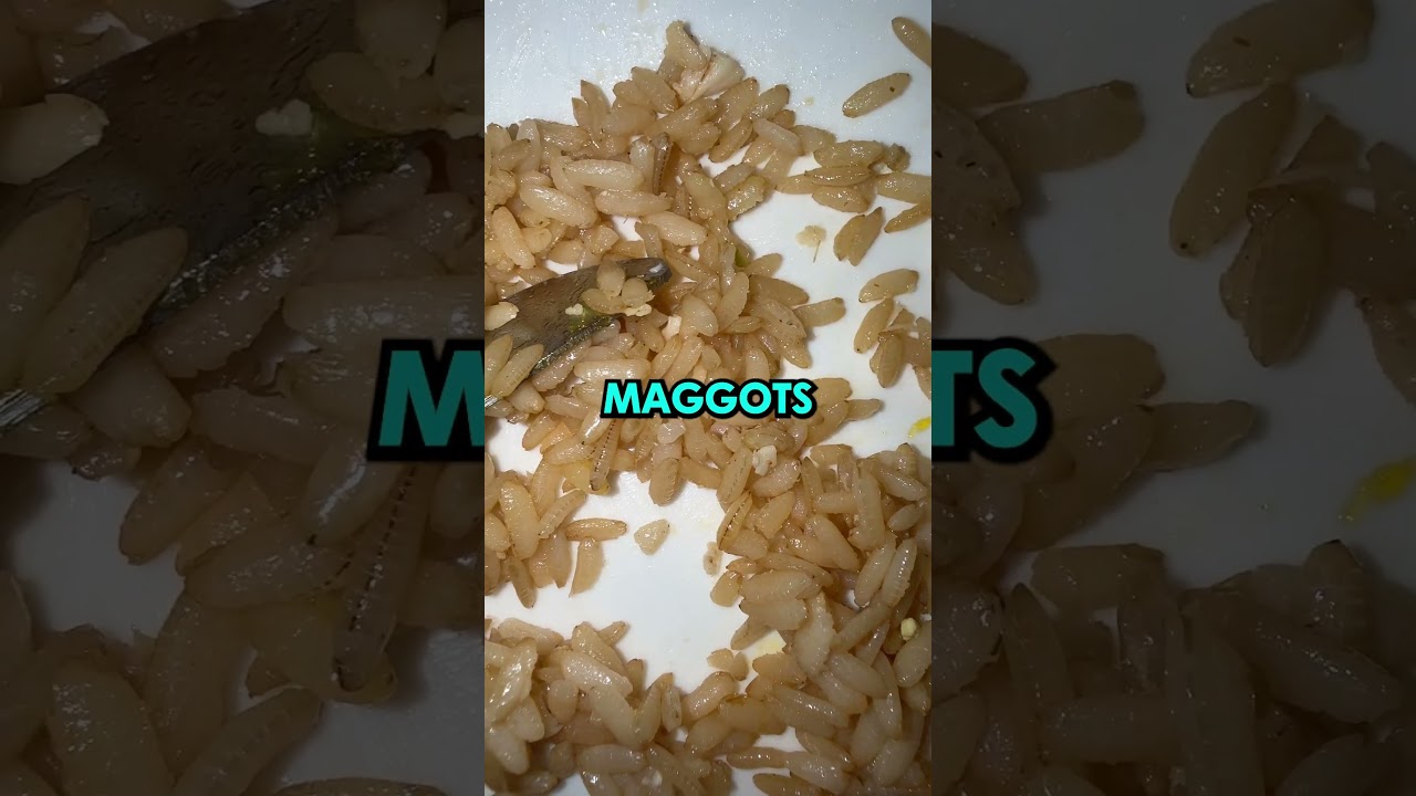 Maggots In Aldi Rice? 🤯
