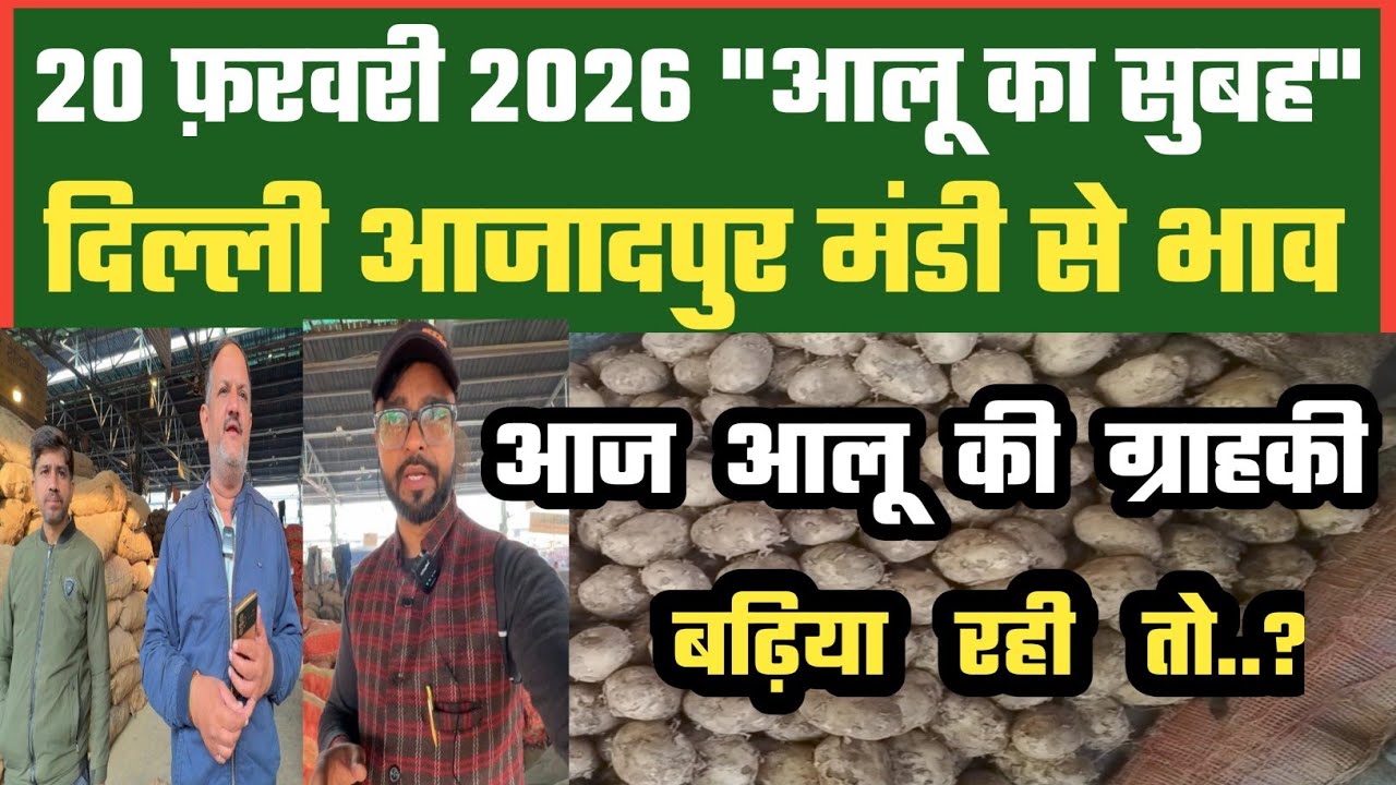 आज ग्राहकी से हैं उम्मीदें ? 🤔 Azadpur Delhi Mandi Today में 20-02-2026 के Potato Price DMT TV