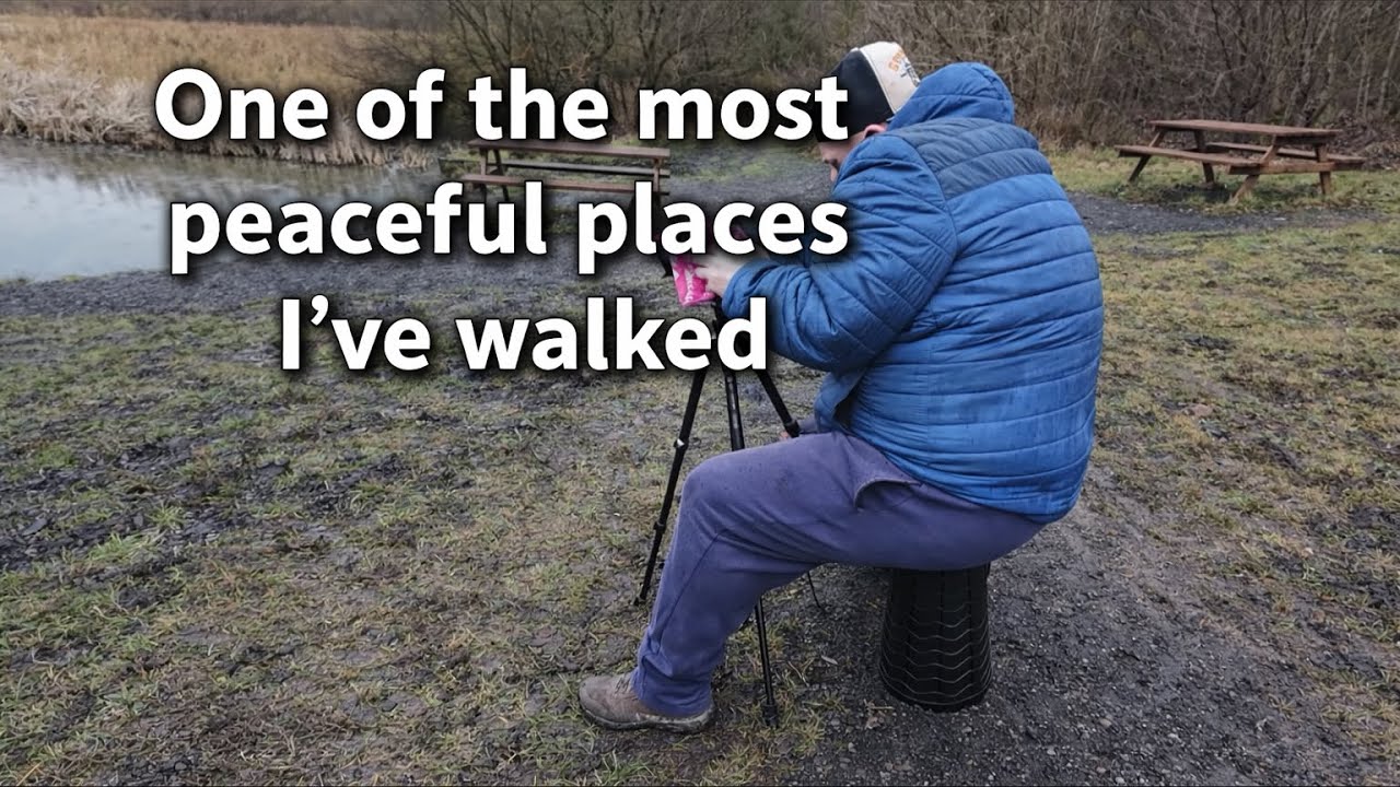 A peaceful walk
