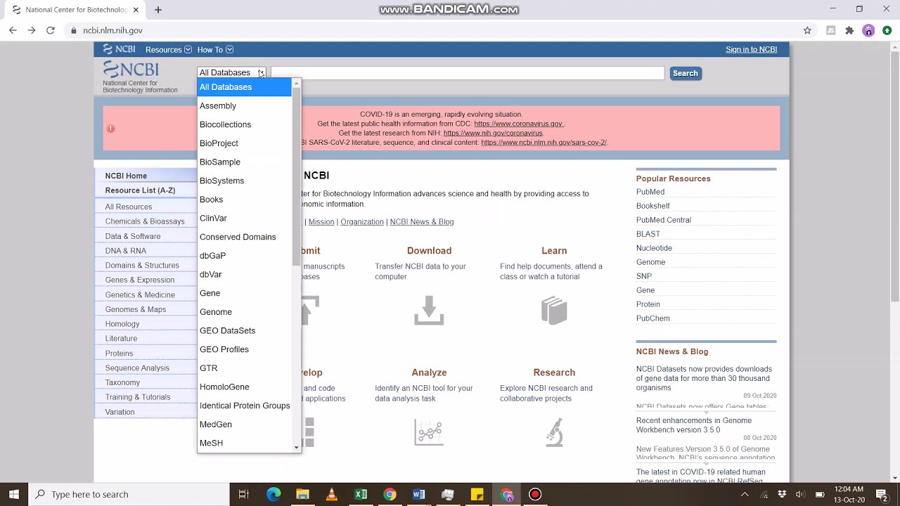 How to retrieve a gene, mRNA and coding sequence from NCBI?