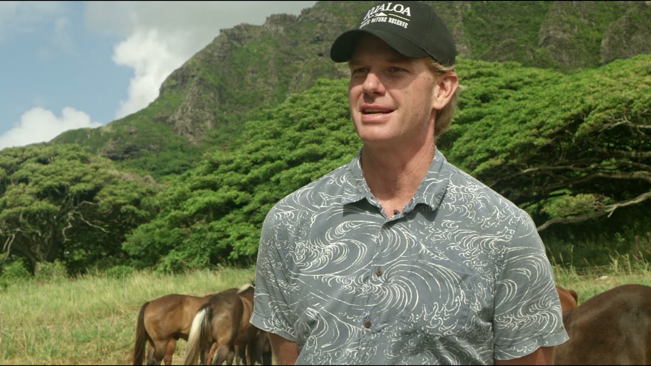 Kualoa Grown Olena Farm by Matt Heirakuji
