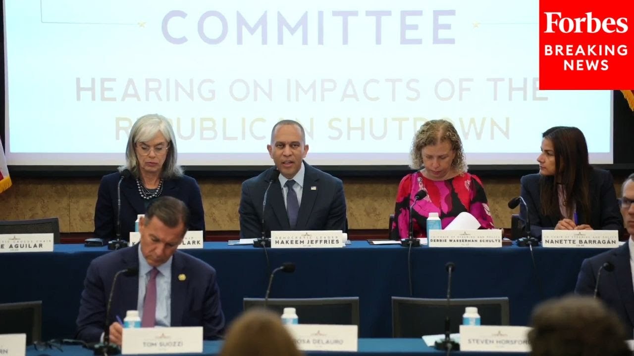 The House Democratic Steering And Policy Committee Holds A Hearing On The Government Shutdown