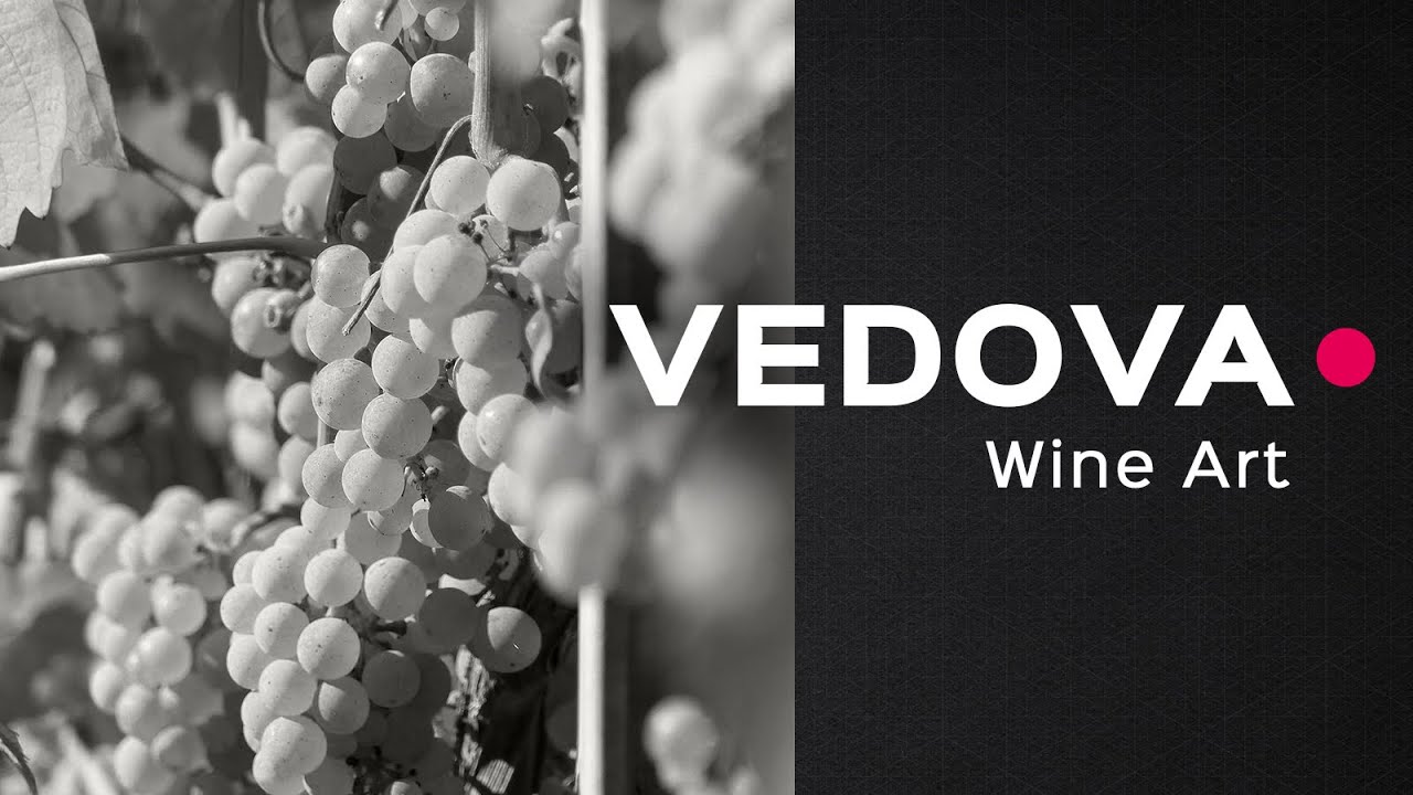 Cantine Vedova - Wine Art (slideshow)