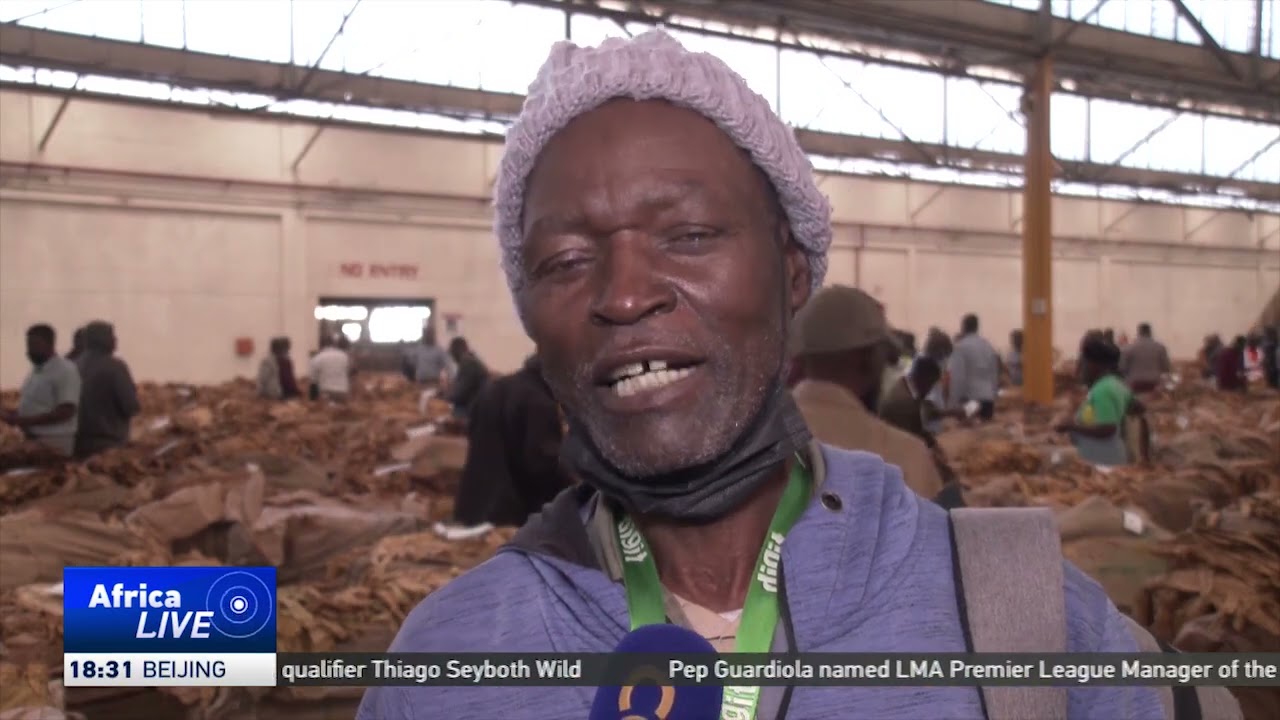 Zimbabwe tobacco farmers urged to diversify into other crops