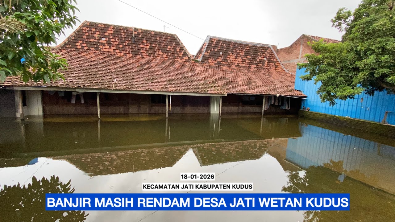 BELUM JUGA SURUT ! DESA JATI WETAN KUDUS MASIH TERENDAM BANJIR 