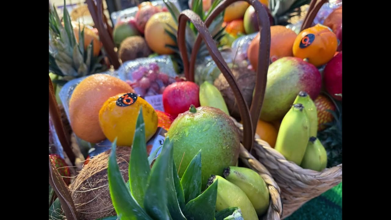 Muss man im Winter zum Fischmarkt? Hamburg Reisefazit. 