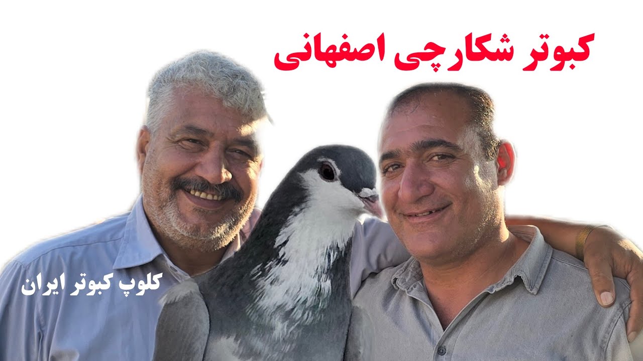 ❤️شکار و شکارچی در خیابان رباط اصفهان
