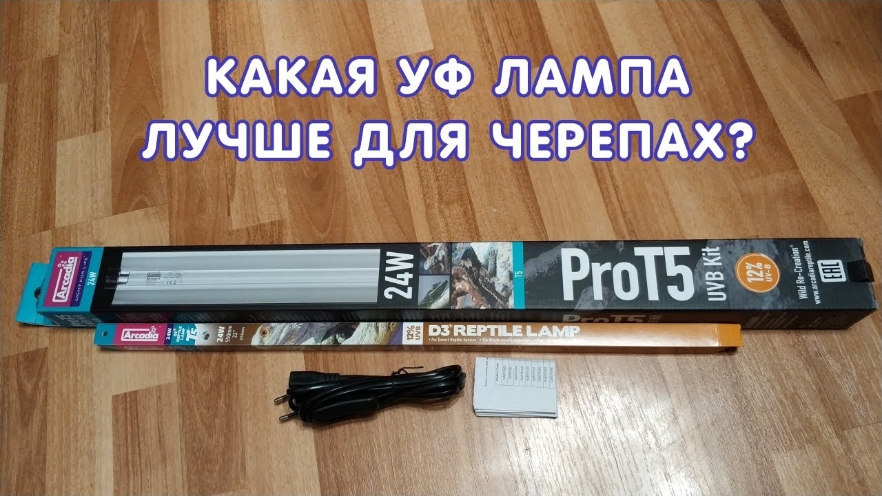 Какая ультрафиолетовая лампа лучше для черепах?