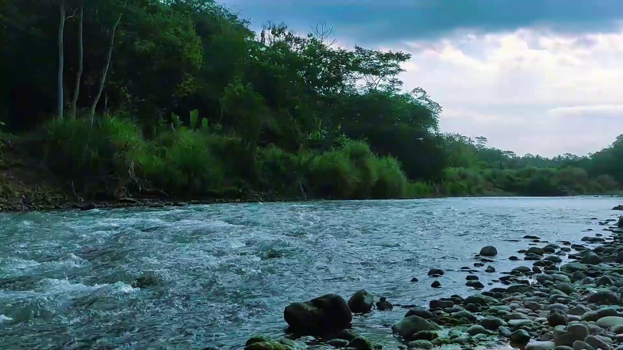 Peaceful River Flow  Natural Sleep Sounds for Anxiety Relief
