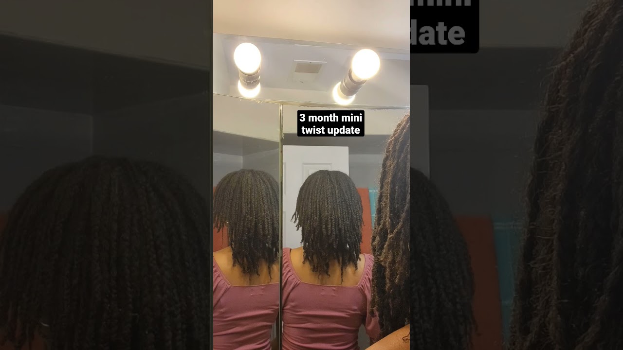3 month mini braids/twists update🌻