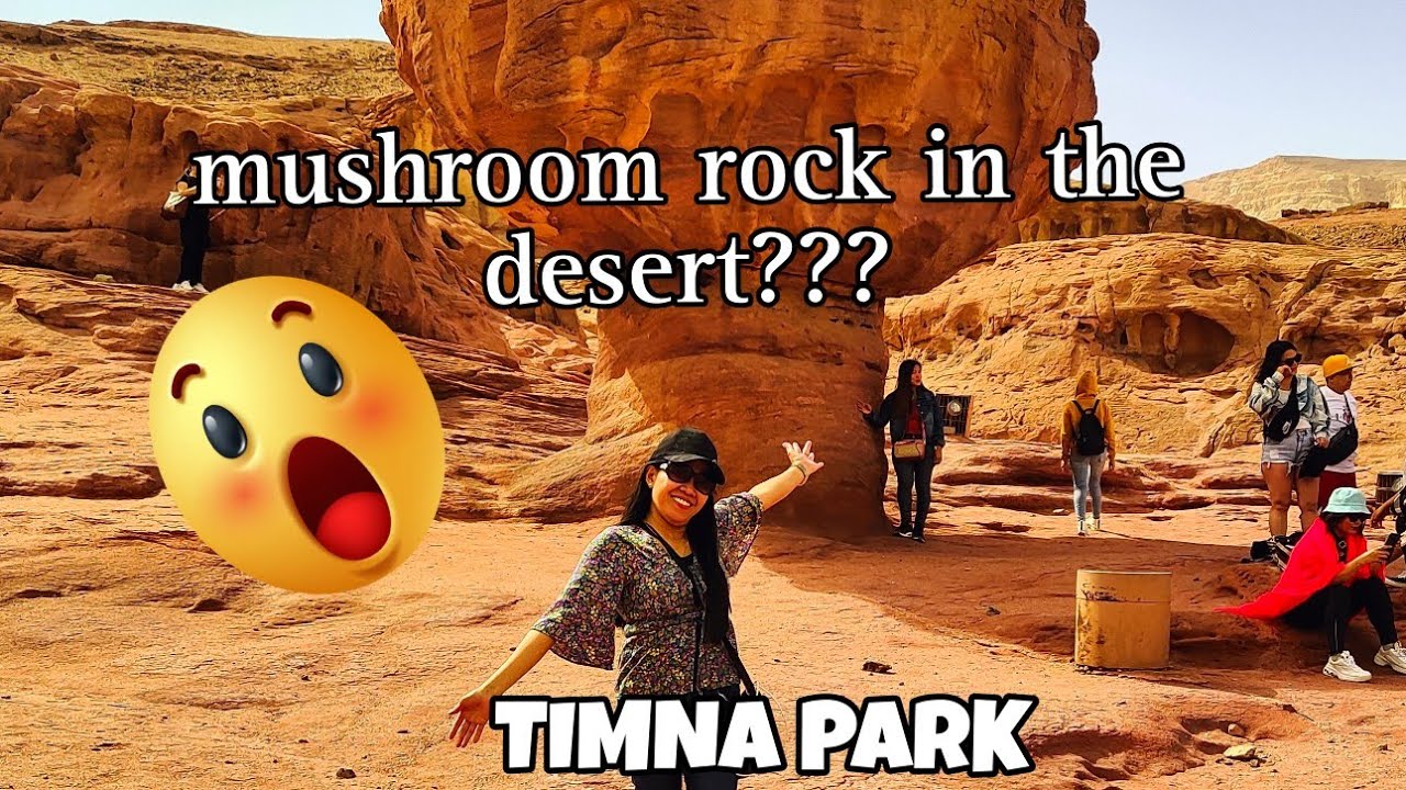 HUGE MUSHROOM ROCK IN TIMNA PARK ISRAEL
