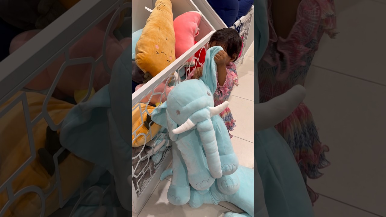 Amaira playing with elephants ||soft toys ||intvtelugu #trending #viral
