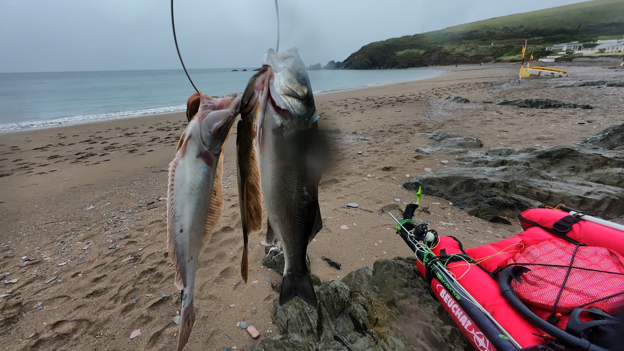 Spearfishing South Devon 07.09.24