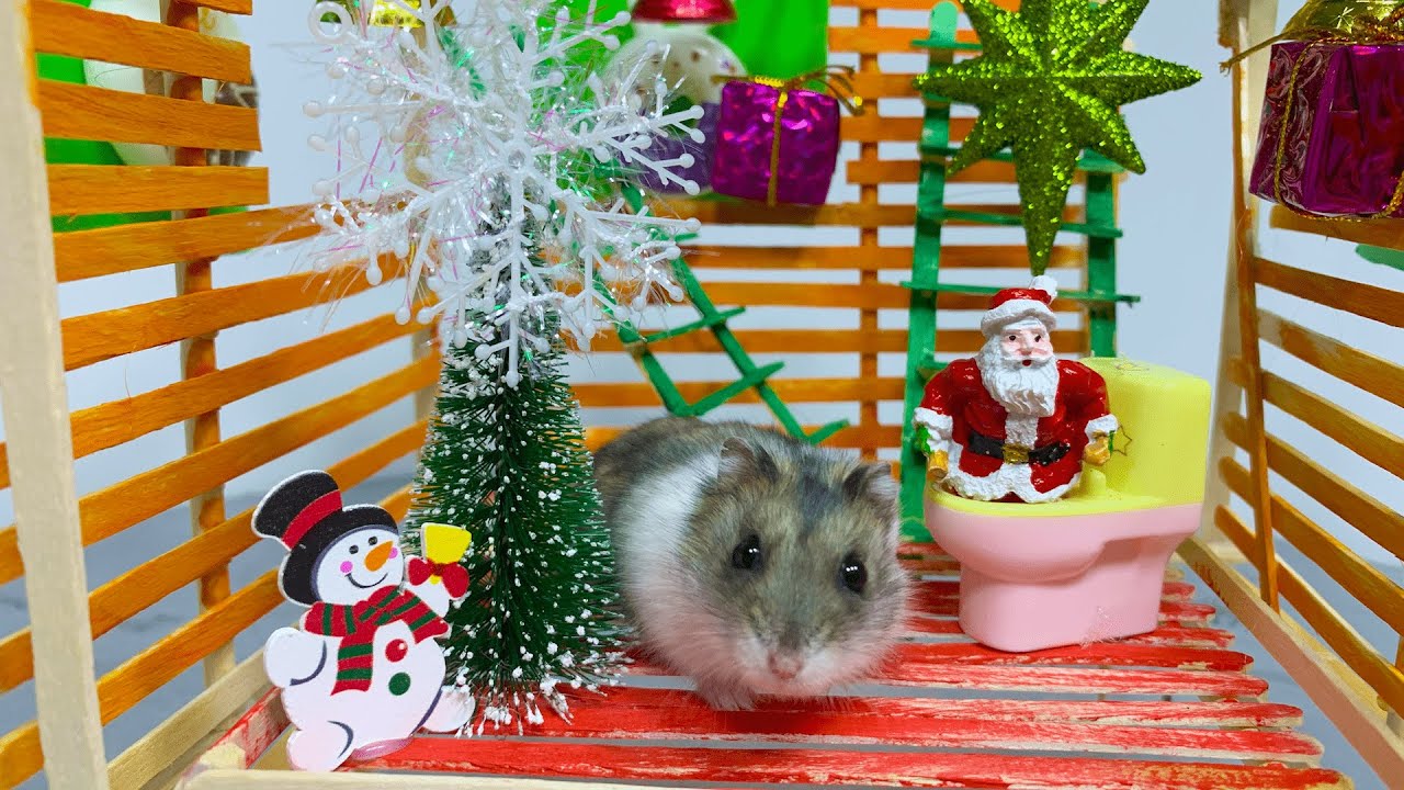 Hamster Jack's Epic Christmas Maze Adventure 🎄🐹