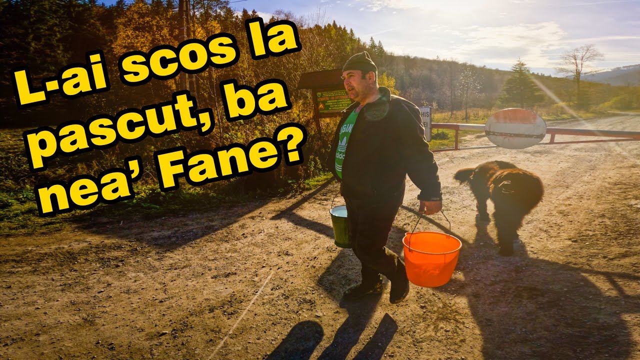 Aventurile din Pasul Predeluș și Munții Grohotișului