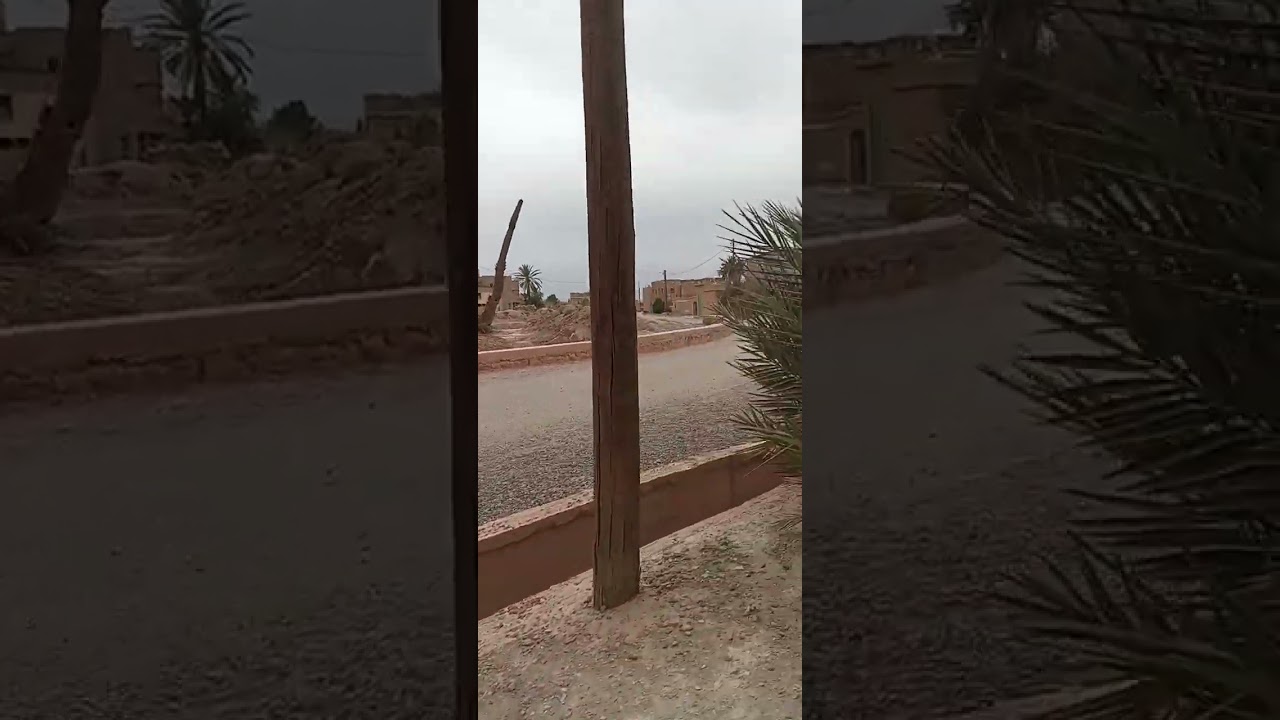 28 فبراير 2026