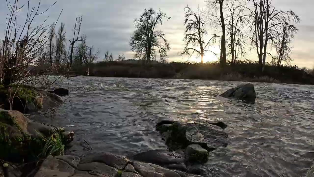 Relax Next To The Rushing Row River Oregon (Water Sounds As The Sun Is Setting)