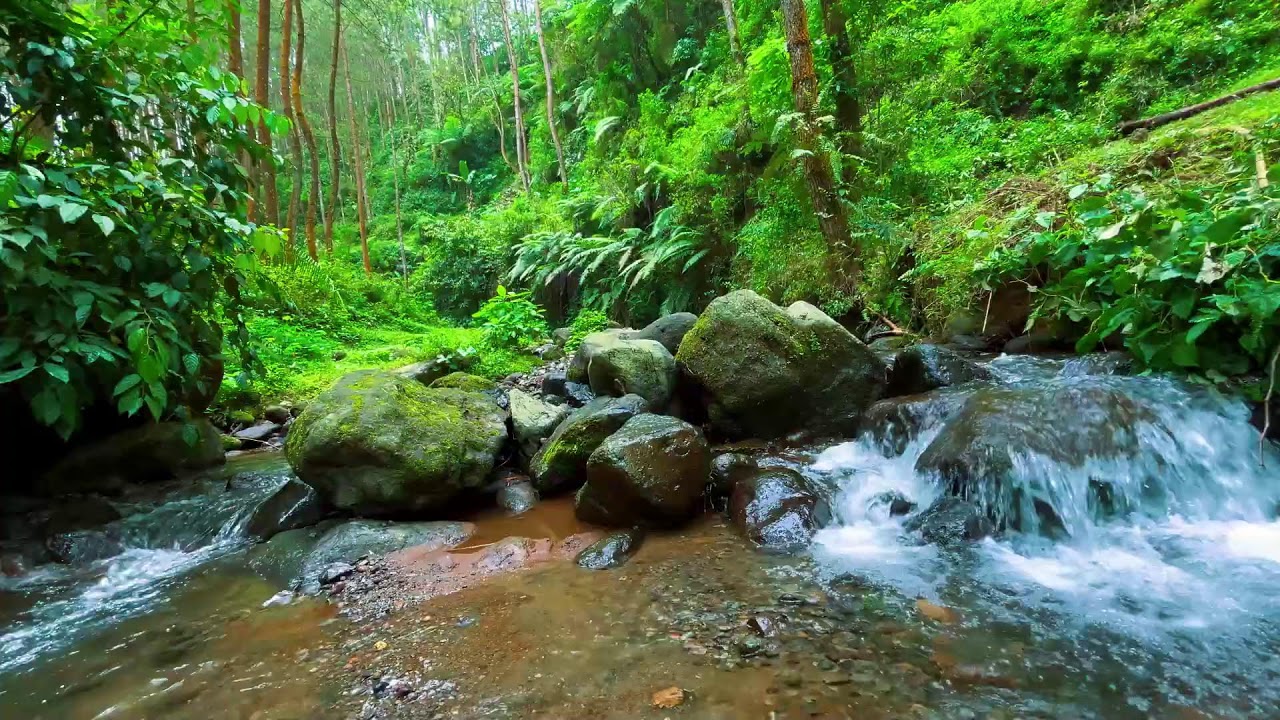 Sleep Better with Peaceful River Sounds | 10 Hours of Relaxing Water White Noise for Insomnia