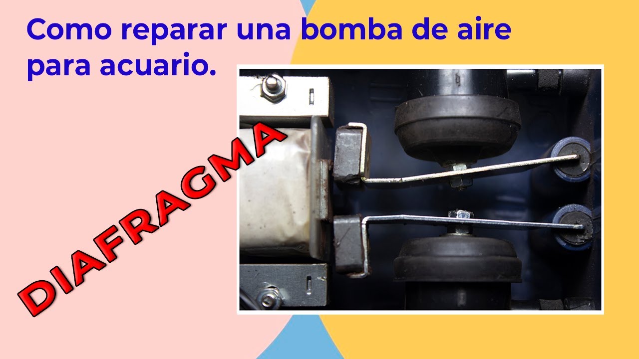 Como reparar una bomba de aire para acuario