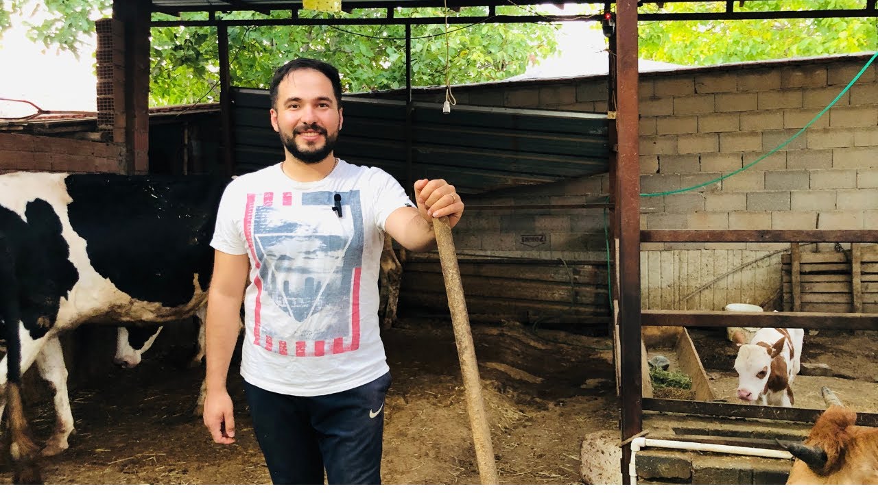 1 İnek Ne Kazandırır.Güncel Süt Fiyatımız