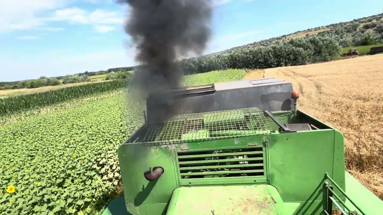 Recoltatul la grâul continuă...22.07.2025