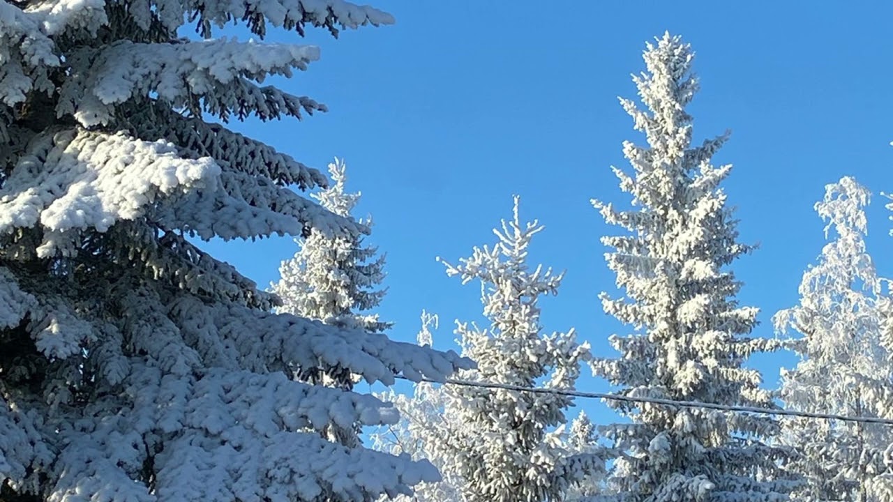 Sunnuntain kokous Vimpelin Helluntaiseurakunnasssa 8 3 2026 movie