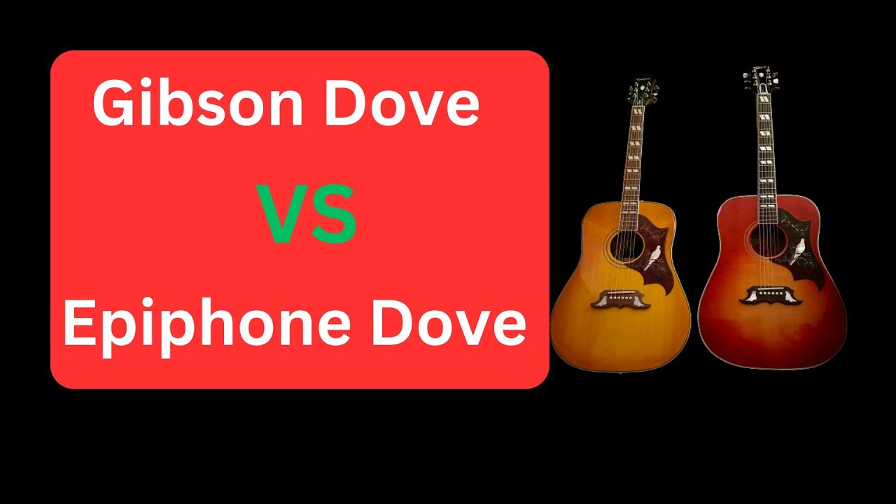 Gibson Dove vs Epiphone Dove: How close are they really?
